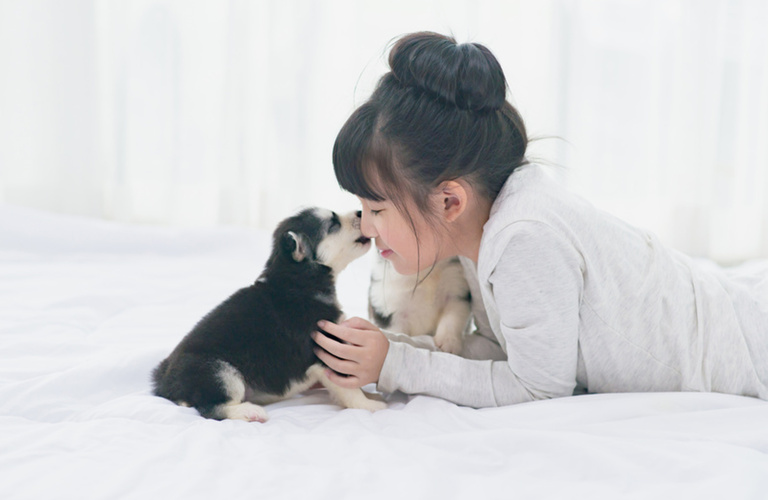 飼い主様の心のより所になりたい子犬も大歓迎の犬猫専門医 | 東淀川区の動物病院なら通いたくなるロッキー動物病院