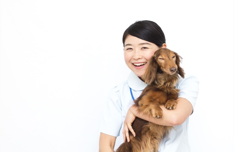 些細なことでも愛犬愛猫に関するご相談大歓迎の犬猫専門医 | 東淀川区の動物病院なら通いたくなるロッキー動物病院